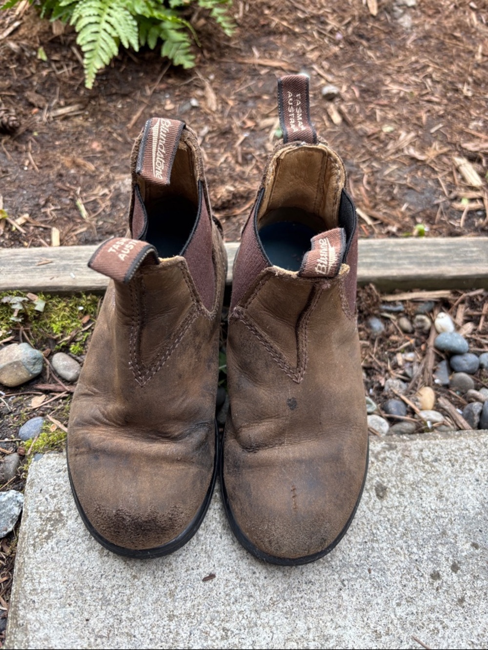 Blundstone Brown Kids Chelsea Boots
